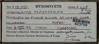 Image Associated With the Occurence